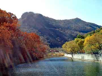 全国蒜薹最新价格及动态分析概览